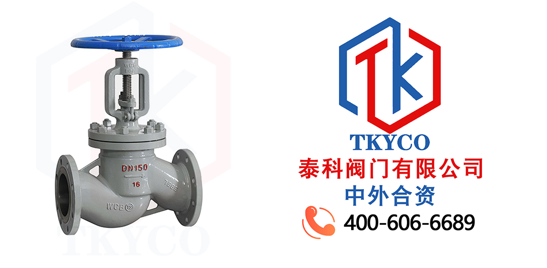 Features of cast steel globe valve!