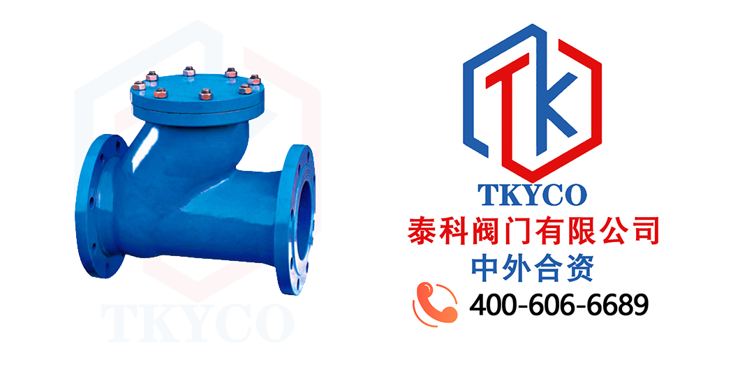 Working Principle and Classification of Taike Valve Check Valves