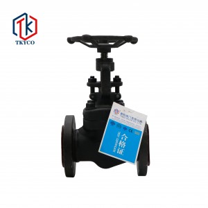 Forged Steel Globe Valve