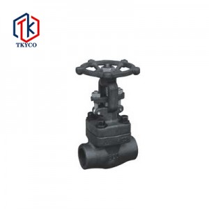 Forged Steel Globe Valve