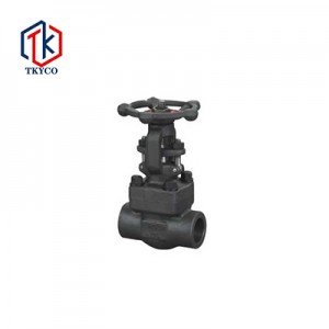 Forged Steel Gate Valve